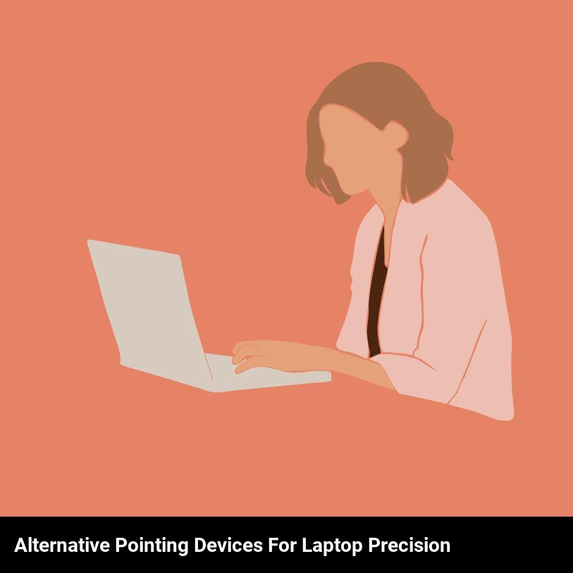 Alternative Pointing Devices for Laptop Precision
