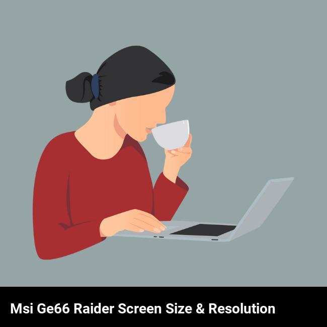 MSI GE66 Raider Screen Size & Resolution
